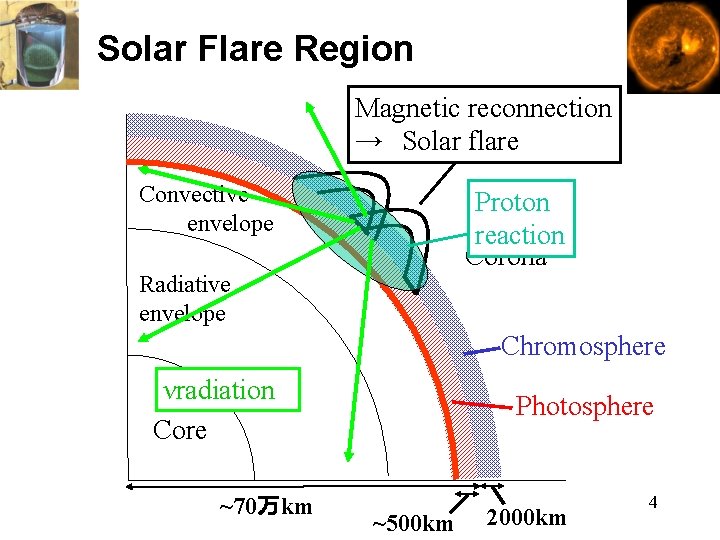 Solar Flare Region Magnetic reconnection →　Solar flare Convective envelope Proton reaction Corona Radiative envelope