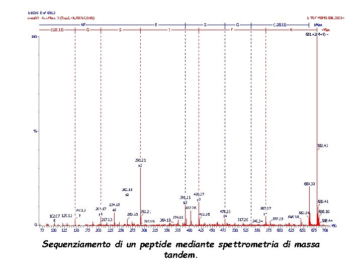 Sequenziamento di un peptide mediante spettrometria di massa tandem. 