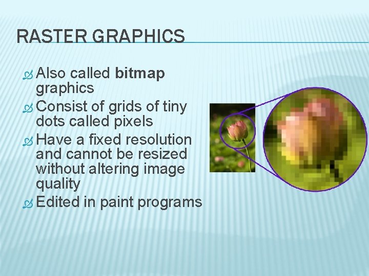 RASTER GRAPHICS Also called bitmap graphics Consist of grids of tiny dots called pixels