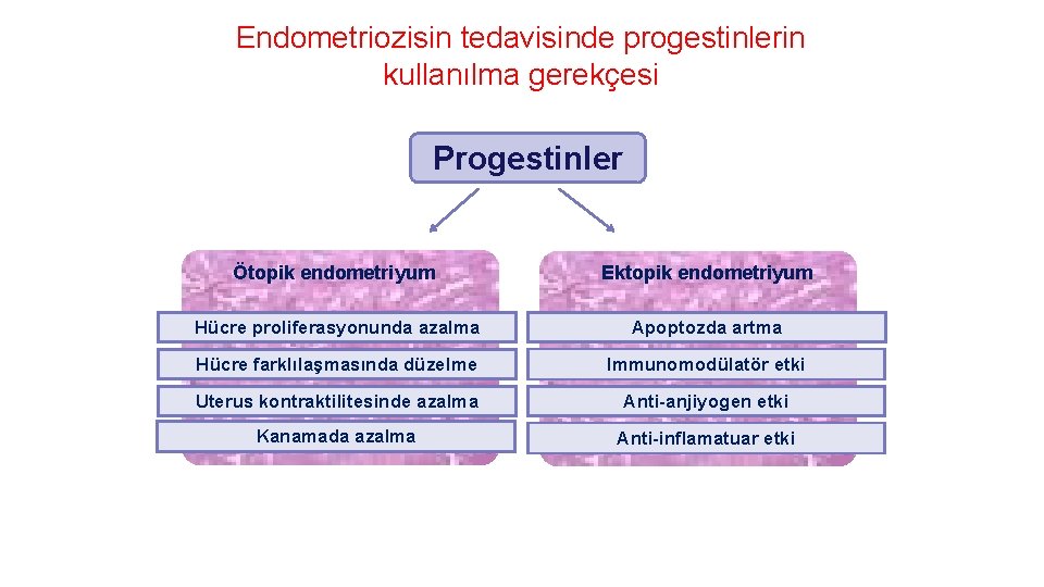 Endometriozisin tedavisinde progestinlerin kullanılma gerekçesi Progestinler Ötopik endometriyum Ektopik endometriyum Hücre proliferasyonunda azalma Apoptozda