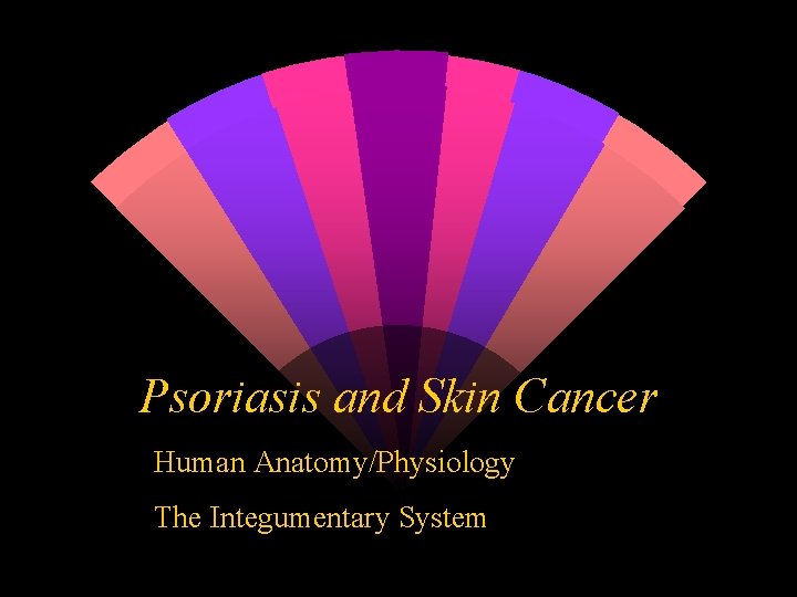 Psoriasis and Skin Cancer Human Anatomy/Physiology The Integumentary System 
