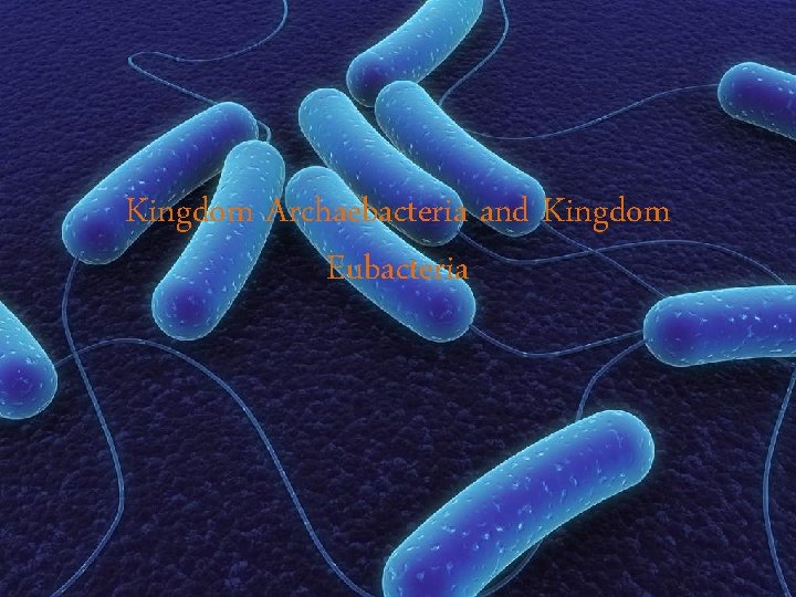 Kingdom Archaebacteria and Kingdom Eubacteria 