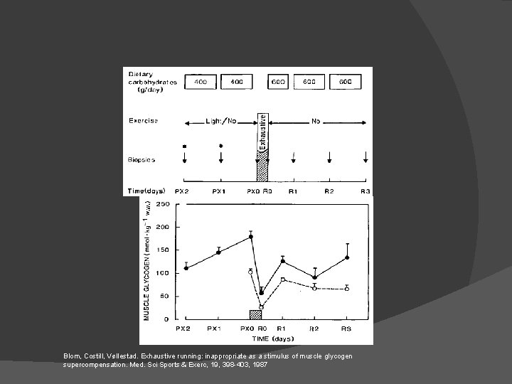 Blom, Costill, Vøllestad. Exhaustive running: inappropriate as a stimulus of muscle glycogen supercompensation. Med.