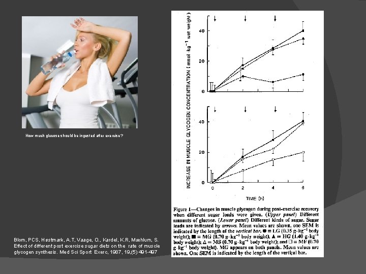 How much glucose should be ingested after exercise? Blom, PCS, Høstmark, A. T, Vaage,
