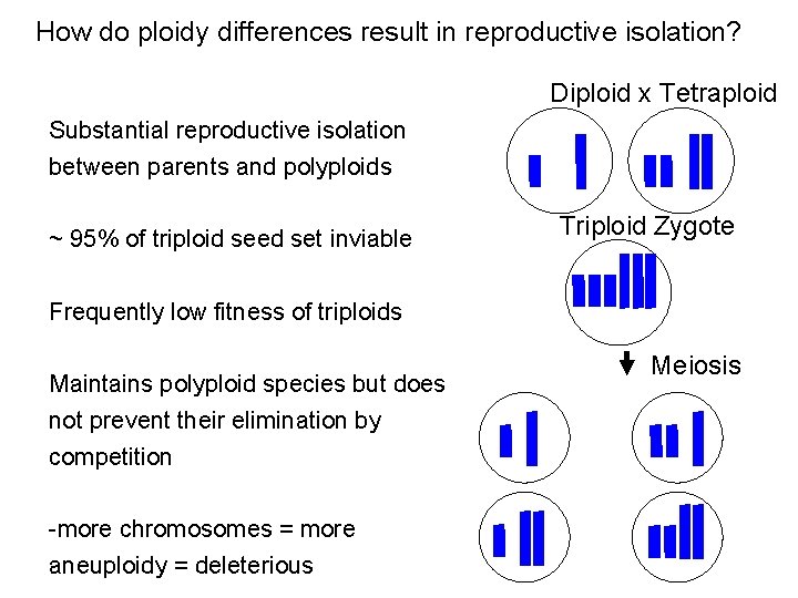 How do ploidy differences result in reproductive isolation? Diploid x Tetraploid Substantial reproductive isolation