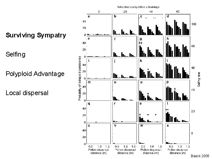 Surviving Sympatry Selfing Polyploid Advantage Local dispersal Baack 2005 