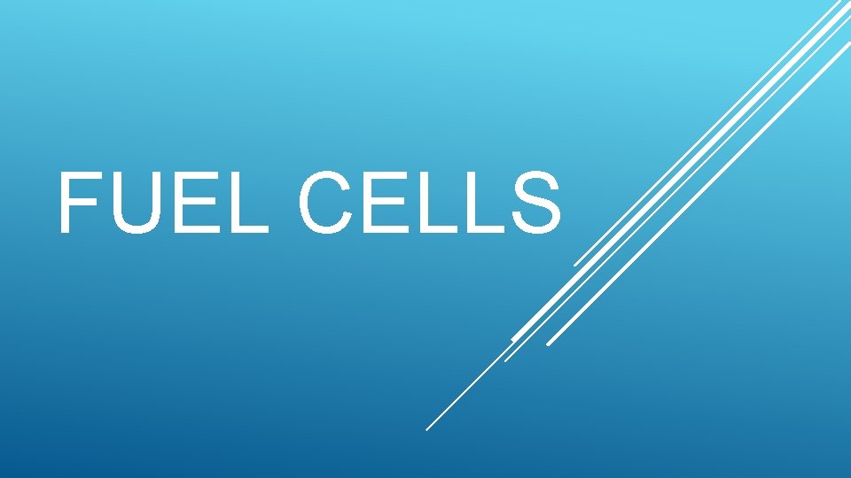 FUEL CELLS 