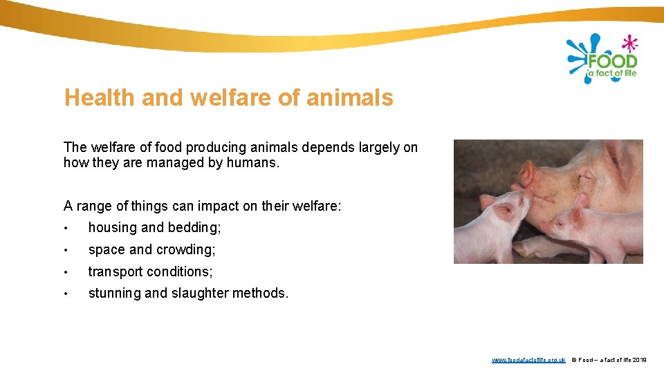 Health and welfare of animals The welfare of food producing animals depends largely on