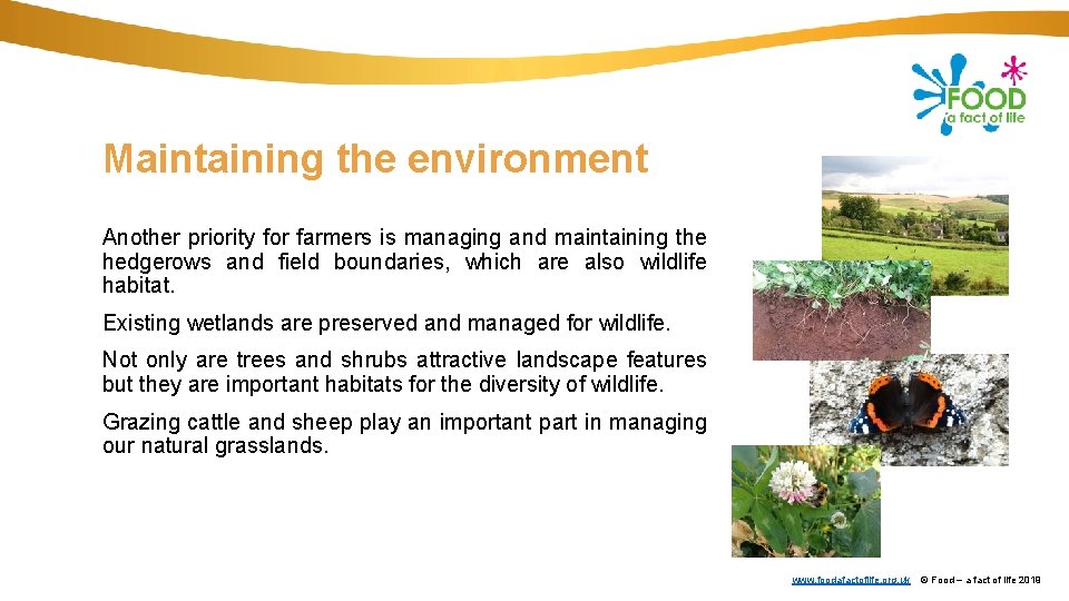 Maintaining the environment Another priority for farmers is managing and maintaining the hedgerows and