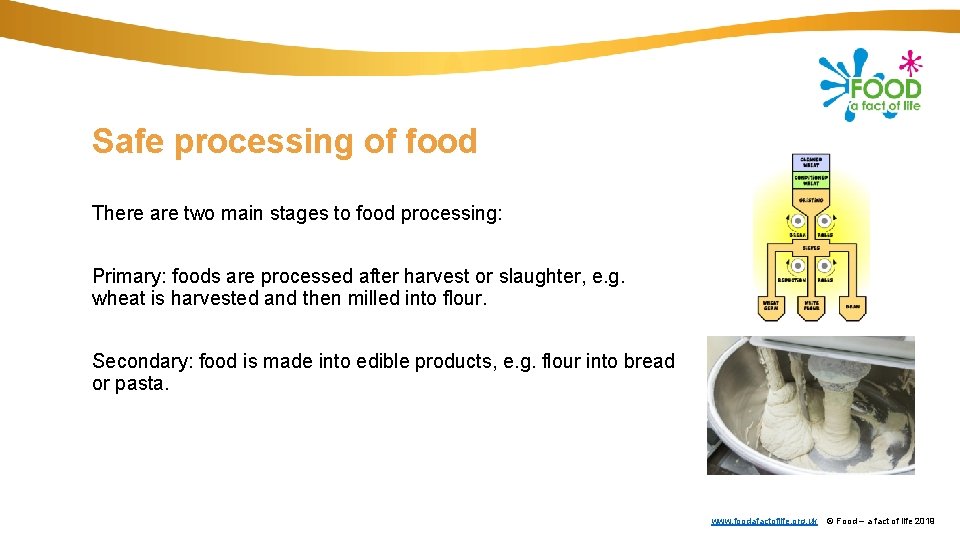 Safe processing of food There are two main stages to food processing: Primary: foods