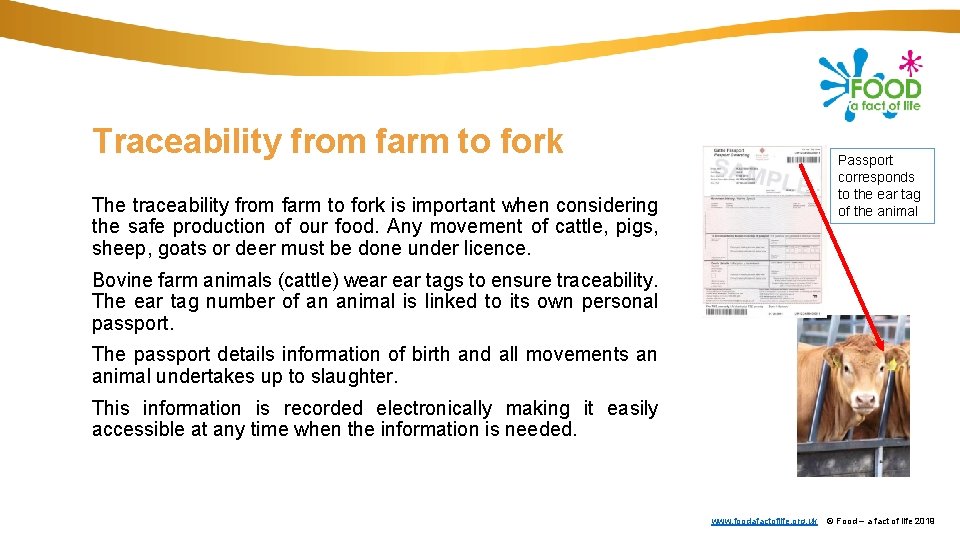 Traceability from farm to fork The traceability from farm to fork is important when