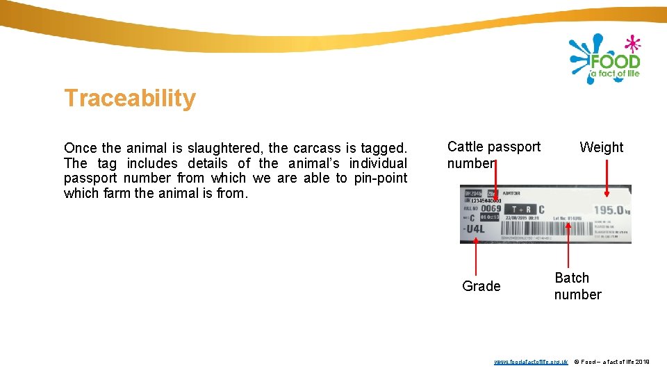 Traceability Once the animal is slaughtered, the carcass is tagged. The tag includes details