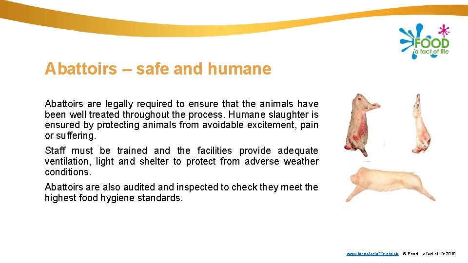 Abattoirs – safe and humane Abattoirs are legally required to ensure that the animals