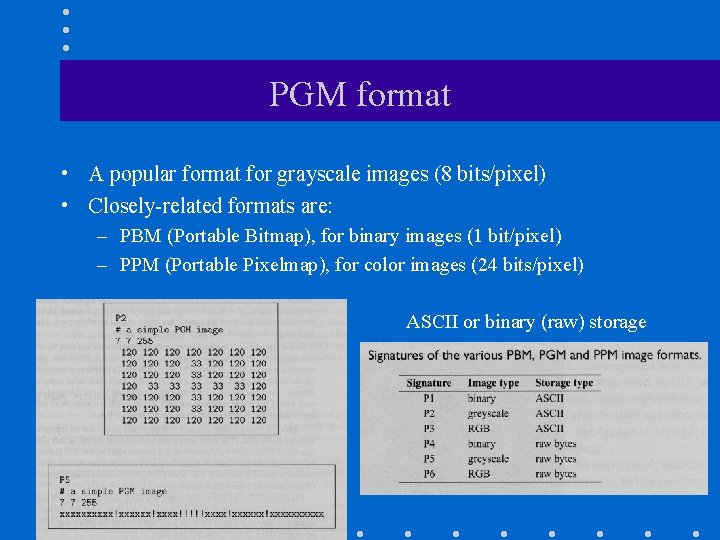 PGM format • A popular format for grayscale images (8 bits/pixel) • Closely-related formats