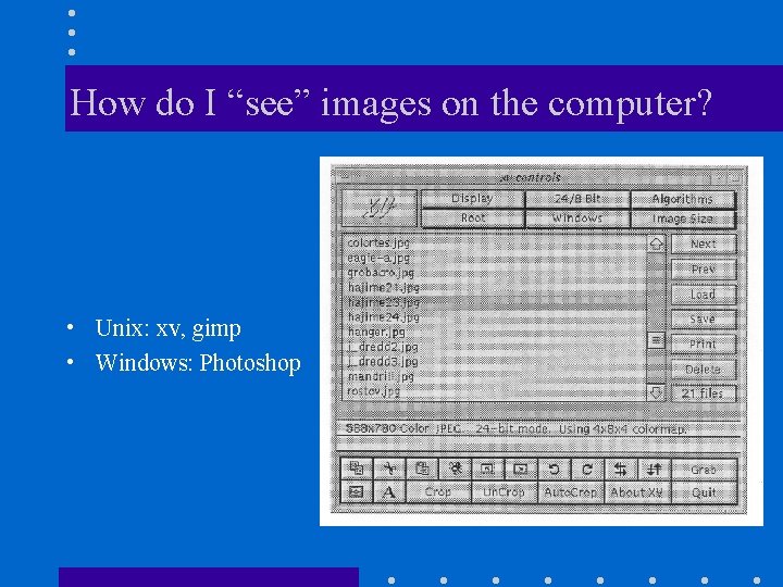 How do I “see” images on the computer? • Unix: xv, gimp • Windows: