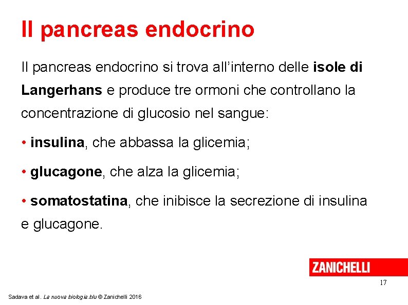 Il pancreas endocrino si trova all’interno delle isole di Langerhans e produce tre ormoni