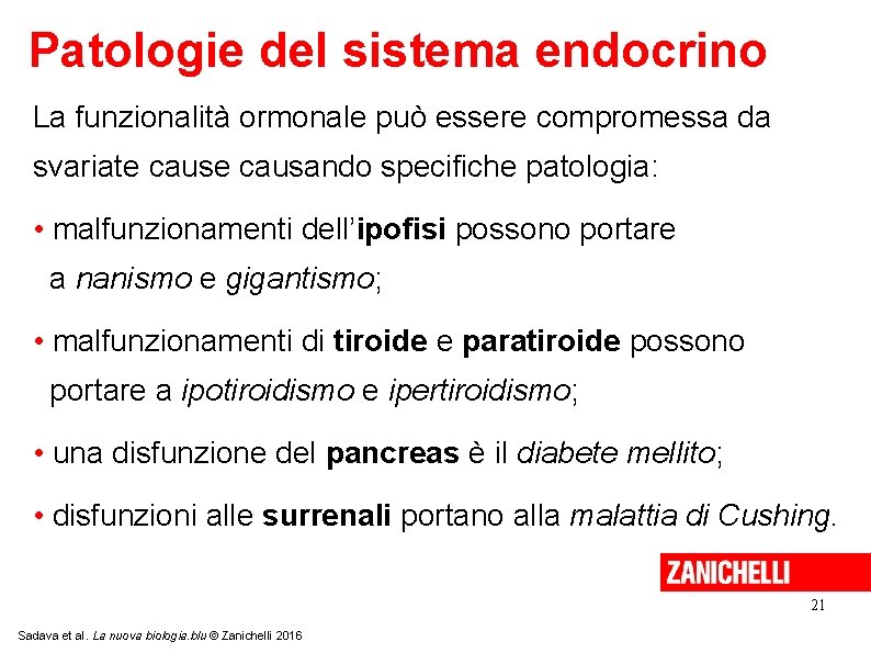 Patologie del sistema endocrino La funzionalità ormonale può essere compromessa da svariate causando specifiche