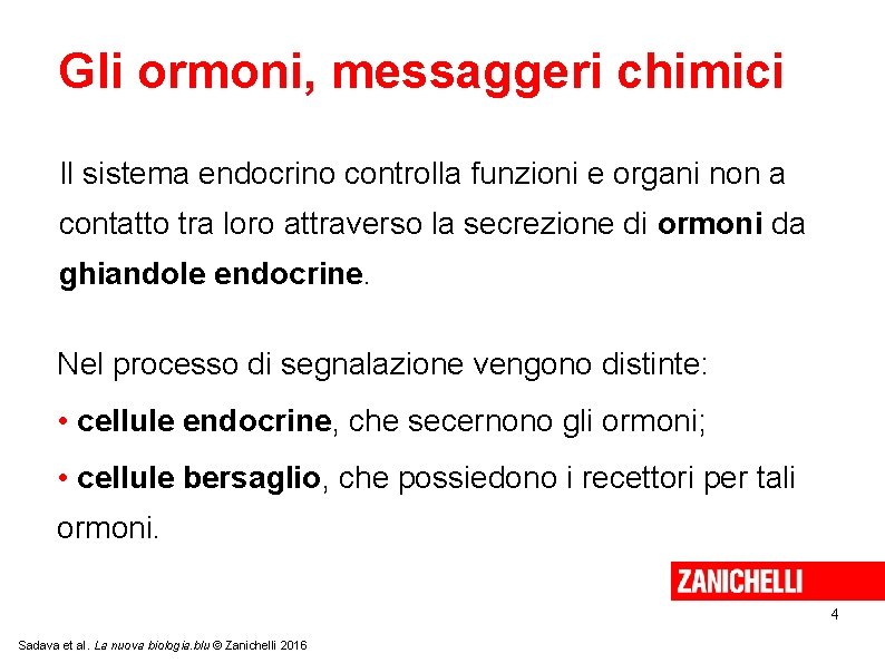 Gli ormoni, messaggeri chimici Il sistema endocrino controlla funzioni e organi non a contatto