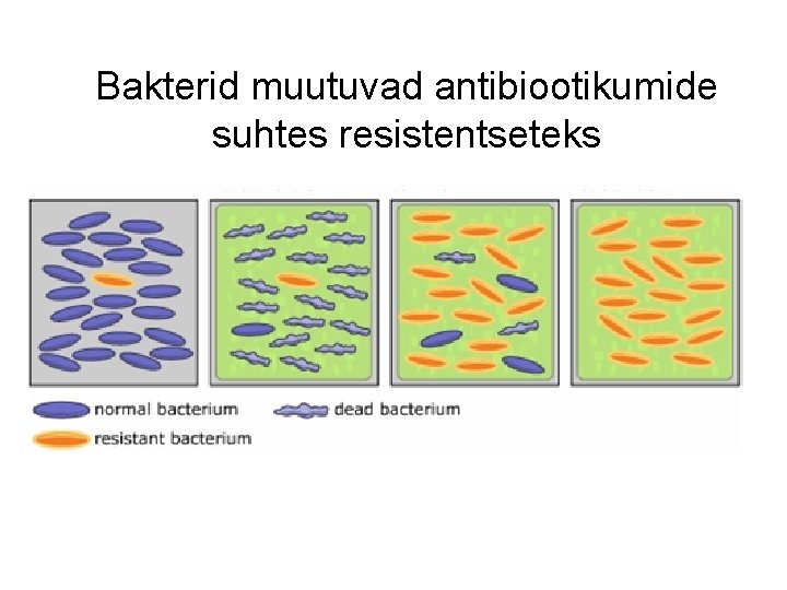 Bakterid muutuvad antibiootikumide suhtes resistentseteks 