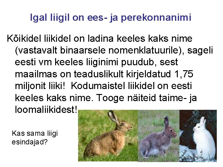 Igal liigil on ees- ja perekonnanimi Kõikidel liikidel on ladina keeles kaks nime (vastavalt