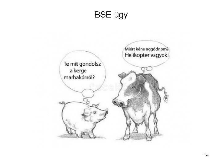 BSE ügy 14 