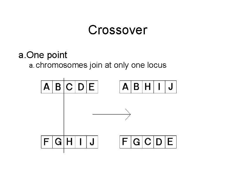 Crossover a. One point a. chromosomes join at only one locus 