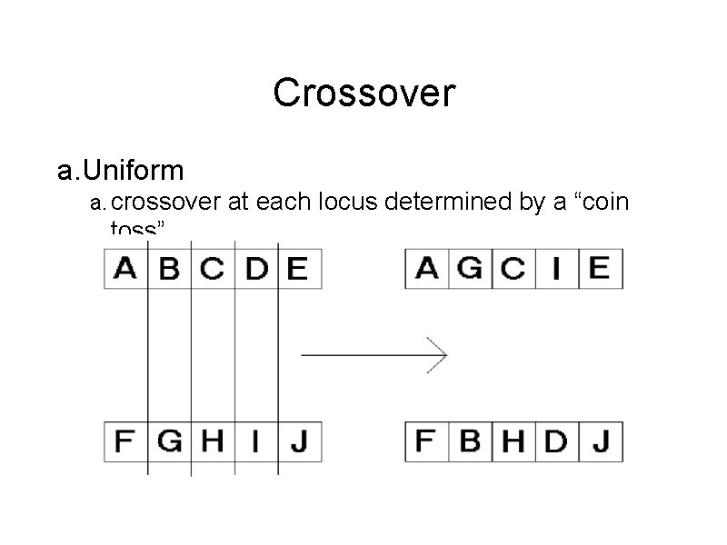 Crossover a. Uniform a. crossover toss” at each locus determined by a “coin 