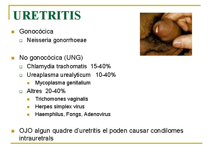 URETRITIS n Gonocòcica q n Neisseria gonorrhoeae No gonocòcica (UNG) q q Chlamydia trachomatis