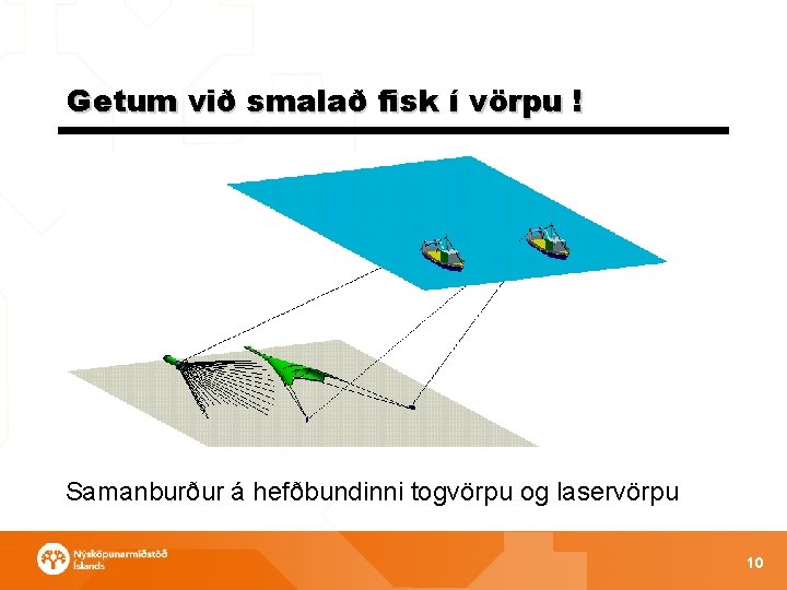 Getum við smalað fisk í vörpu ! Samanburður á hefðbundinni togvörpu og laservörpu 10