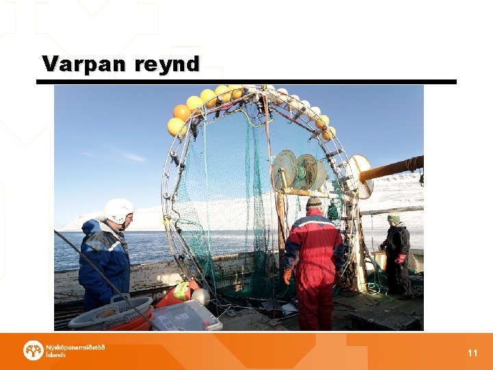 Varpan reynd 11 