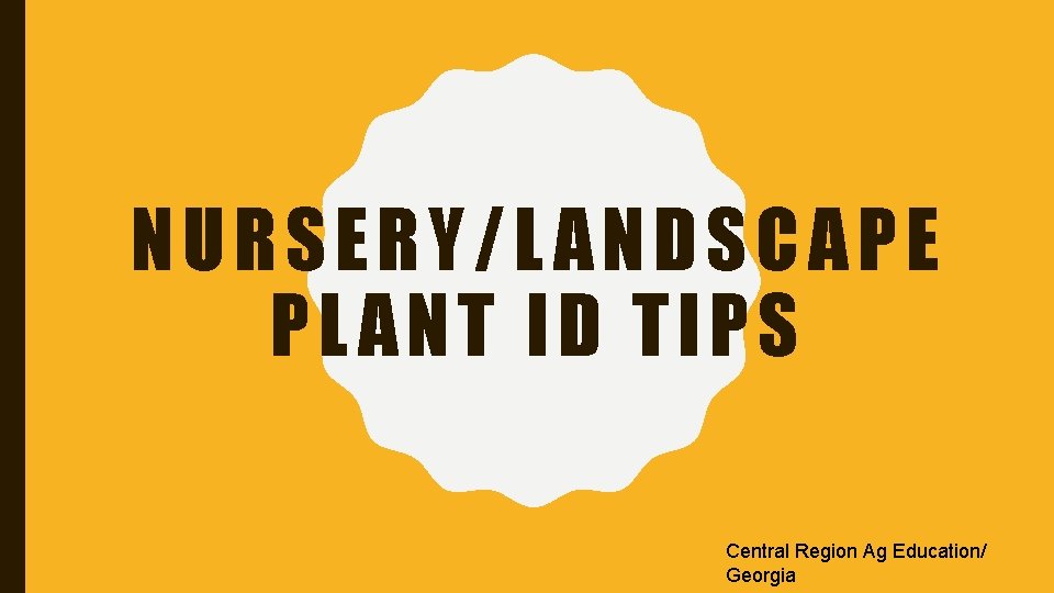 NURSERY/LANDSCAPE PLANT ID TIPS Central Region Ag Education/ Georgia 