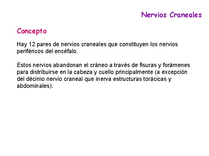 Nervios Craneales Concepto Hay 12 pares de nervios craneales que constituyen los nervios periféricos