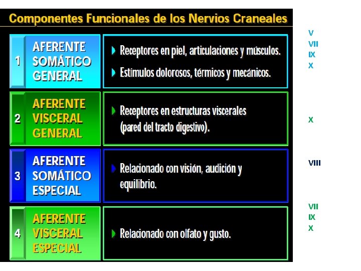 V VII IX X X VIII VII IX X V VII IX X X VIII VII IX X