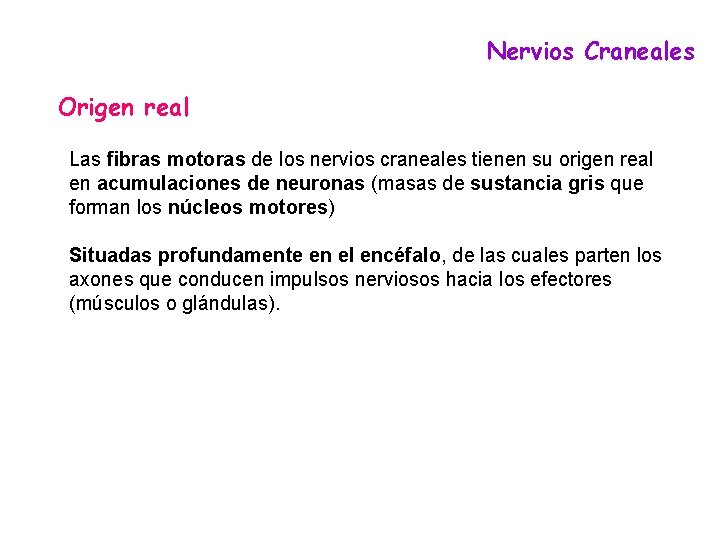 Nervios Craneales Origen real Las fibras motoras de los nervios craneales tienen su origen