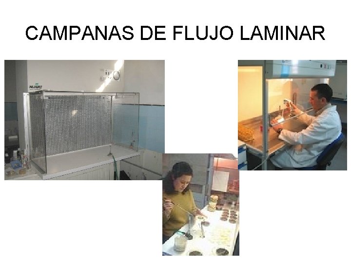 CAMPANAS DE FLUJO LAMINAR 