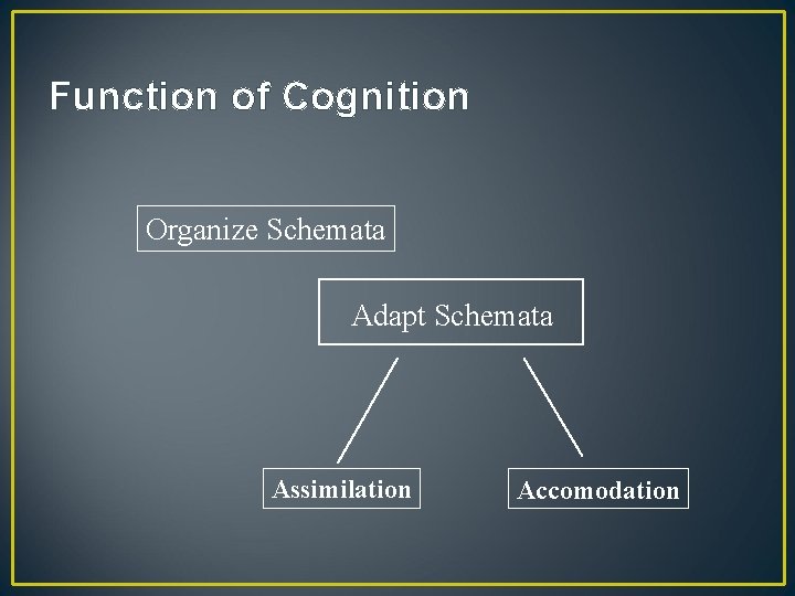 Function of Cognition Organize Schemata Adapt Schemata Assimilation Accomodation 