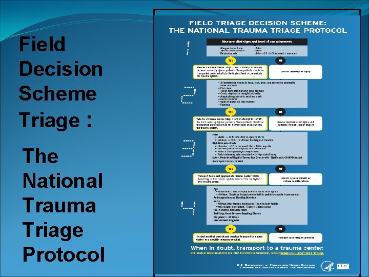 Field Decision Scheme Triage : The National Trauma Triage Protocol 12 