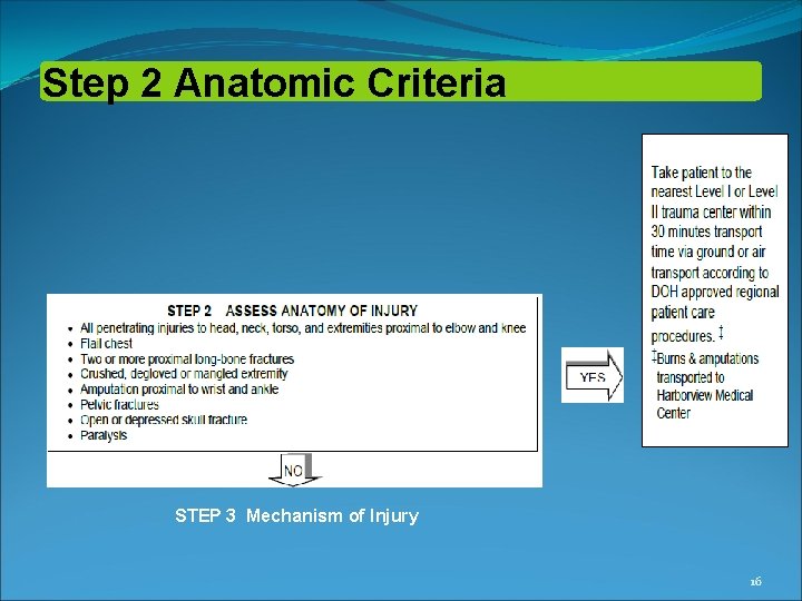 Step 2 Anatomic Criteria STEP 3 Mechanism of Injury 16 