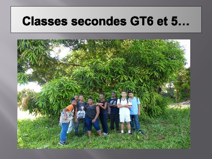 Classes secondes GT 6 et 5… 