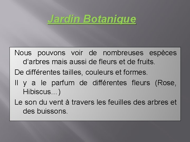 Jardin Botanique Nous pouvons voir de nombreuses espèces d’arbres mais aussi de fleurs et