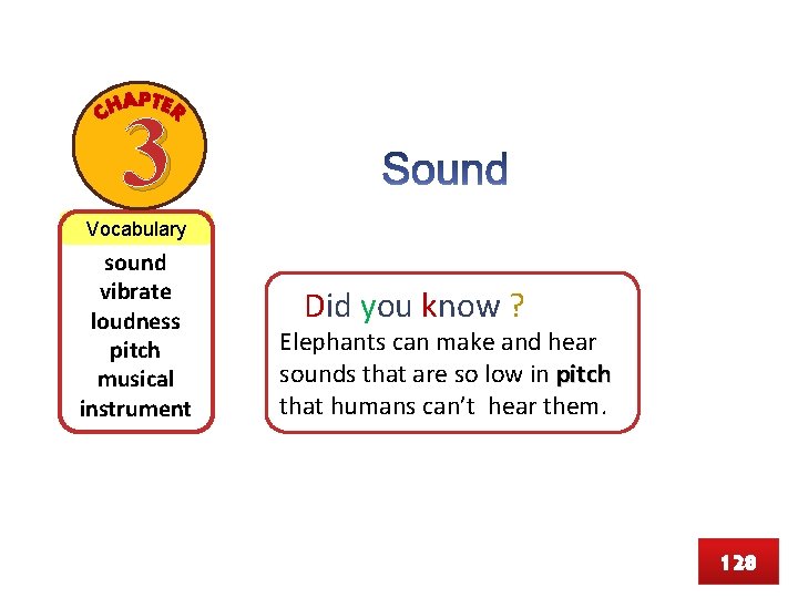 3 Vocabulary sound vibrate loudness pitch musical instrument Did you know ? Elephants can