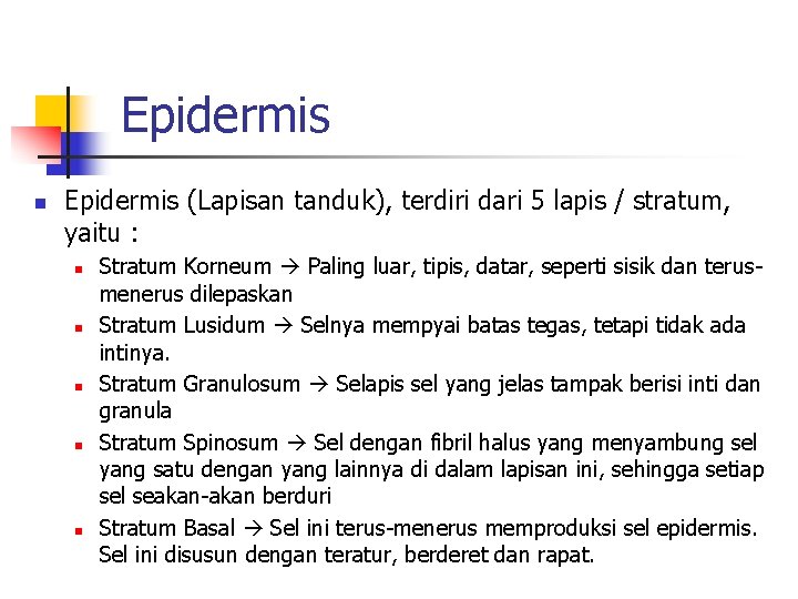 Epidermis n Epidermis (Lapisan tanduk), terdiri dari 5 lapis / stratum, yaitu : n