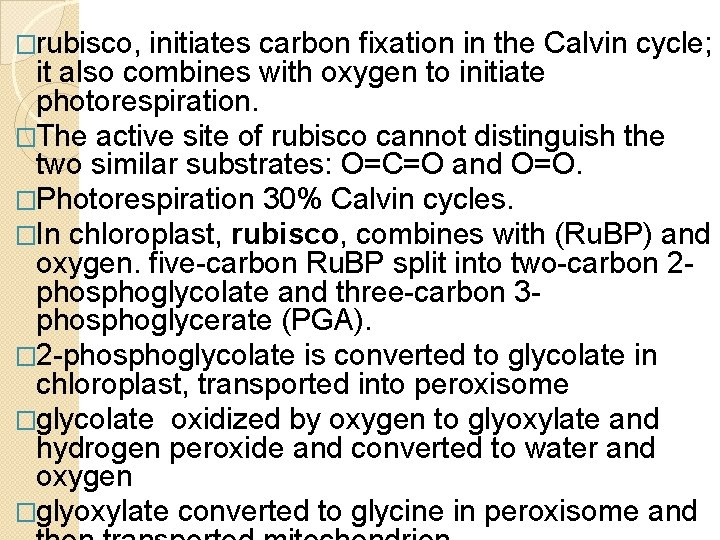 �rubisco, initiates carbon fixation in the Calvin cycle; it also combines with oxygen to