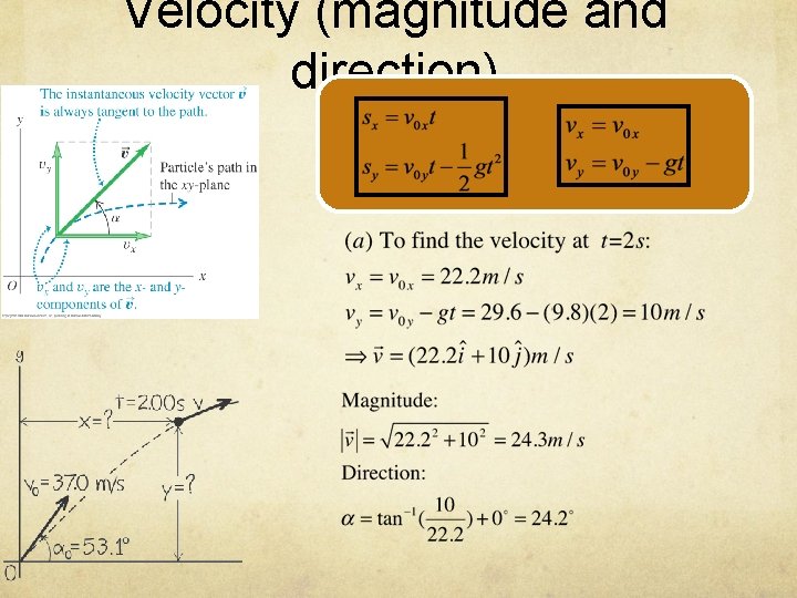 Velocity (magnitude and direction) 