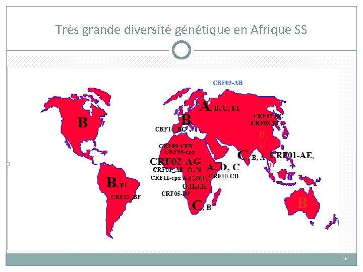 Très grande diversité génétique en Afrique SS 10 