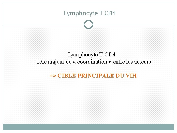Lymphocyte T CD 4 = rôle majeur de « coordination » entre les acteurs