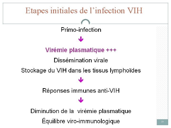 Etapes initiales de l’infection VIH 21 