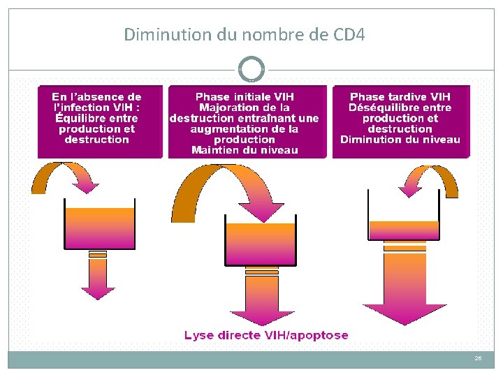 Diminution du nombre de CD 4 26 