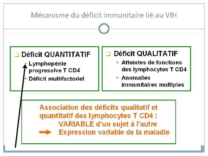 Mécanisme du déficit immunitaire lié au VIH 27 