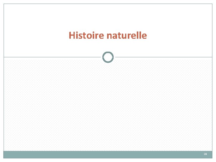 Histoire naturelle 28 